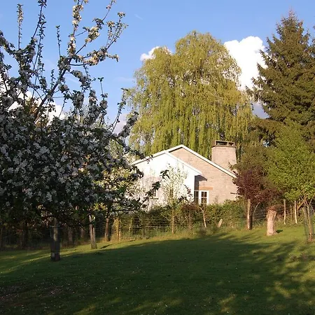 Sous Le Saule Holiday
